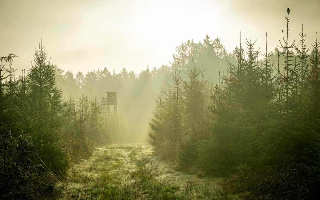 Metsästysseuran uudet sivut julkaistu